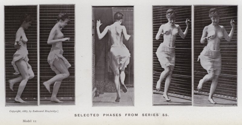 Den menneskelige figur i bevægelse: Udvalgte faser fra serie 55 (s/h-foto) af Eadweard Muybridge