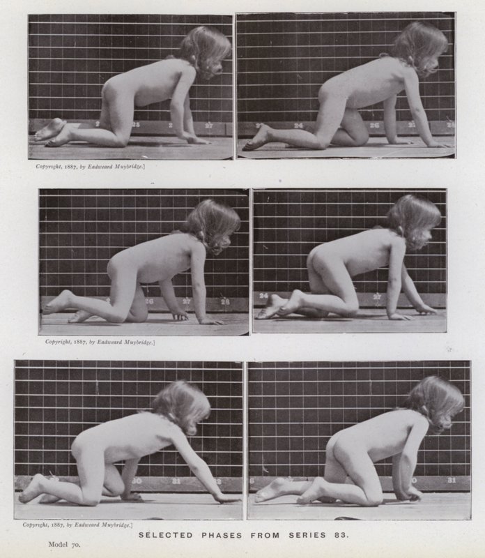 Den menneskelige figur i bevægelse: Udvalgte faser fra serie 83 (s/h foto) af Eadweard Muybridge