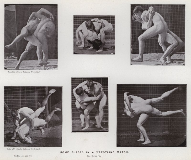 Den menneskelige figur i bevægelse: Nogle faser i en brydekamp af Eadweard Muybridge