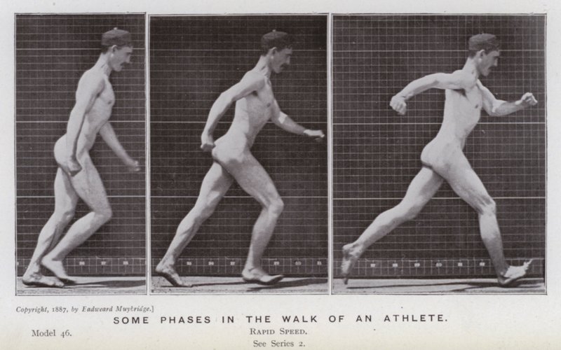 Den menneskelige figur i bevægelse: Nogle faser i en atlets gang (s/h foto) af Eadweard Muybridge