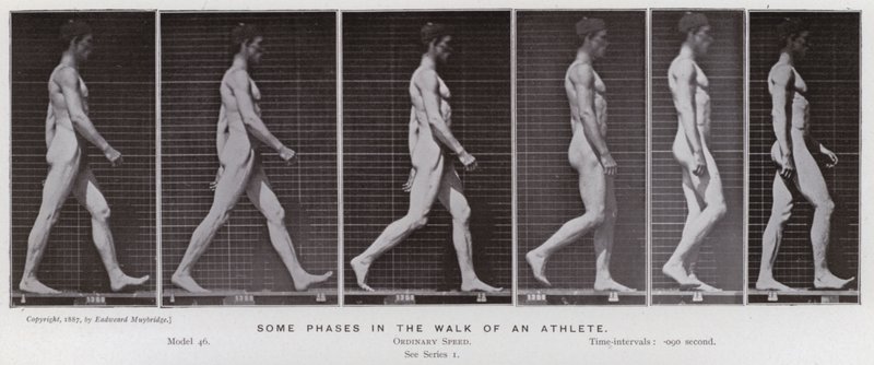 Den menneskelige figur i bevægelse: Nogle faser i en atlets gang (s/h foto) af Eadweard Muybridge