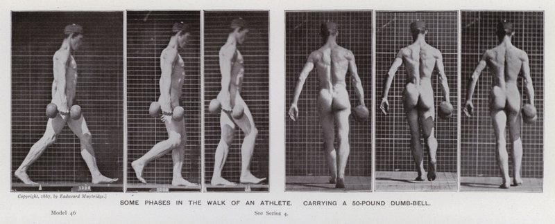 Den menneskelige figur i bevægelse: Nogle faser i en atlets gang, der bærer en 50-punds håndvægt (s/h-billede) af Eadweard Muybridge
