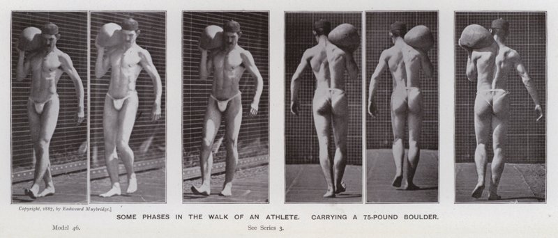 Den menneskelige figur i bevægelse: Nogle faser i en atlets gang, der bærer en 75-punds kampesten (s/h-foto) af Eadweard Muybridge