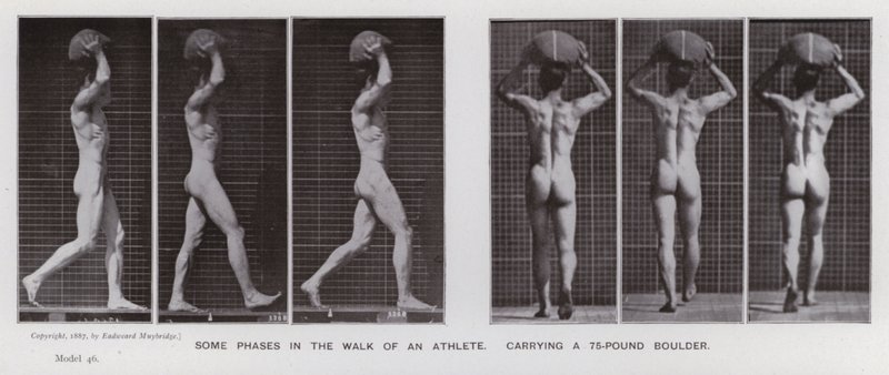 Den menneskelige figur i bevægelse: Nogle faser i en atlets gang, der bærer en 75-punds kampesten (s/h-foto) af Eadweard Muybridge