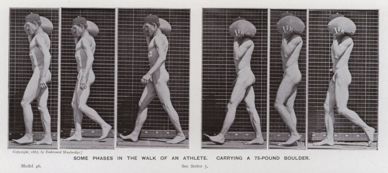 Den menneskelige figur i bevægelse: Nogle faser i en atlets gang, der bærer en 75-punds kampesten (s/h-foto) af Eadweard Muybridge