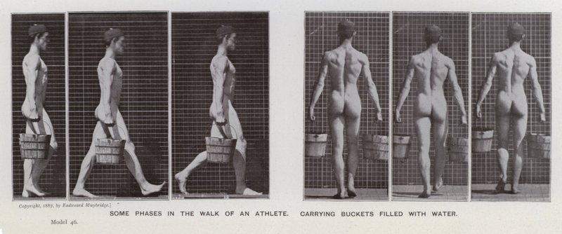 Den menneskelige figur i bevægelse: Nogle faser i en atlets gåtur, der bærer spande fyldt med vand (b/w foto) af Eadweard Muybridge
