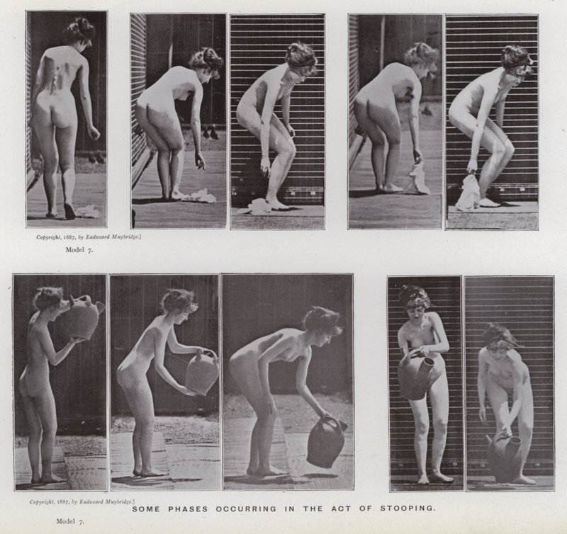 Den menneskelige figur i bevægelse: Nogle faser, der opstår i handlingen med at bøje sig af Eadweard Muybridge