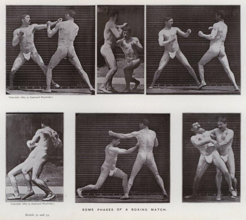 Den menneskelige figur i bevægelse: Nogle faser af en boksekamp (s/h foto) af Eadweard Muybridge