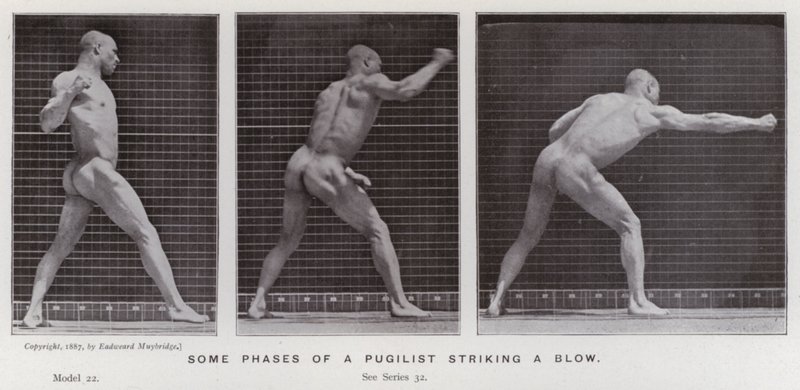 Den menneskelige figur i bevægelse: Nogle faser af en pugilist, der slår et slag (B/W -foto) af Eadweard Muybridge