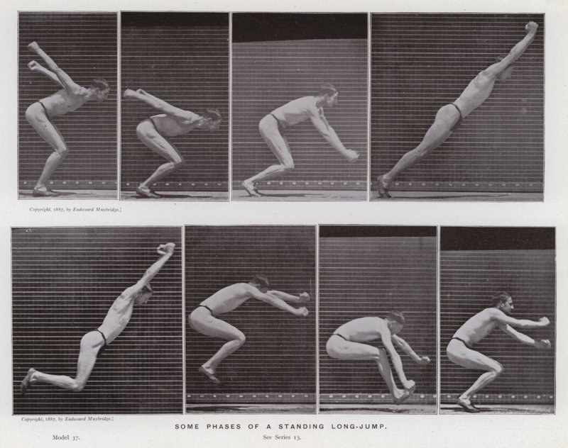 Den menneskelige figur i bevægelse: Nogle faser af et stående længdespring (s/h foto) af Eadweard Muybridge