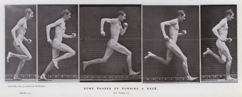 Den menneskelige figur i bevægelse: Nogle faser af at løbe til et løb (s/h-billede) af Eadweard Muybridge