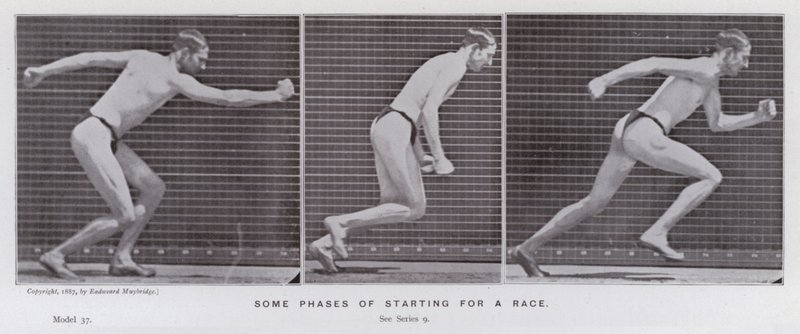 Den menneskelige figur i bevægelse: Nogle faser af at starte et løb (s/h-billede) af Eadweard Muybridge