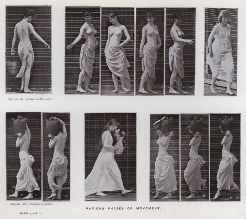 Den menneskelige figur i bevægelse: Forskellige faser af bevægelse (s/h foto) af Eadweard Muybridge