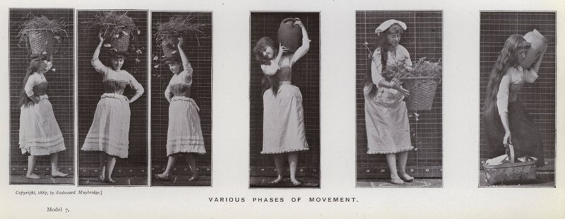 Den menneskelige figur i bevægelse: Forskellige faser af bevægelse (s/h foto) af Eadweard Muybridge