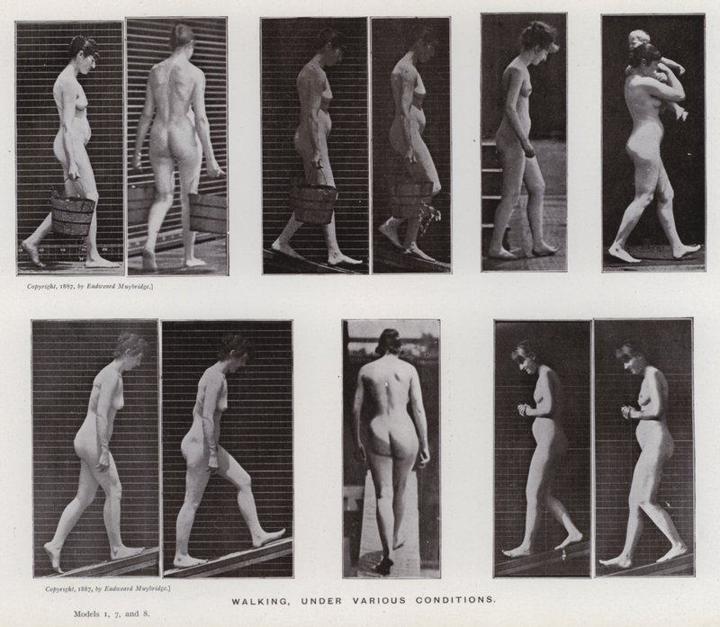 Den menneskelige figur i bevægelse: Gå, under forskellige forhold (s/h foto) af Eadweard Muybridge