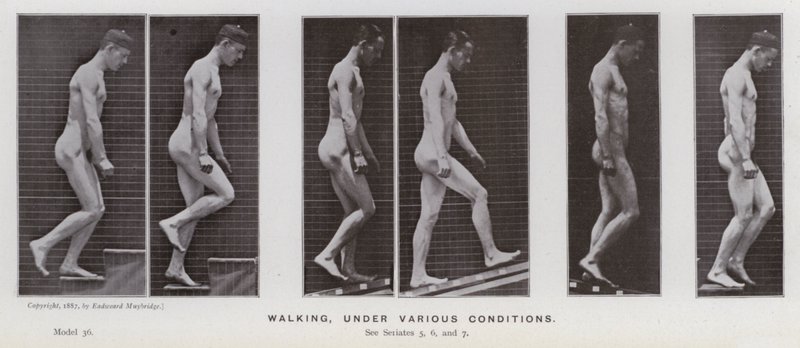 Den menneskelige figur i bevægelse: Gå, under forskellige forhold (s/h foto) af Eadweard Muybridge