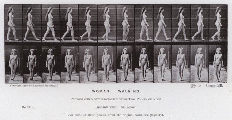 Den menneskelige figur i bevægelse: kvinde, gående (s/h-billede) af Eadweard Muybridge