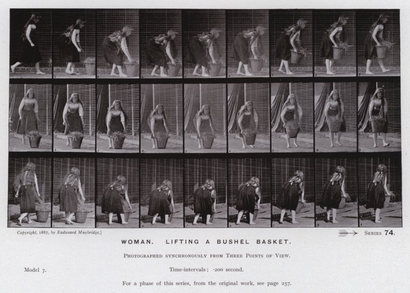 Den menneskelige figur i bevægelse: Kvinde, der løfter en skæppekurv (s/h foto) af Eadweard Muybridge