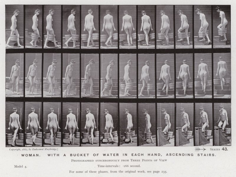 Den menneskelige figur i bevægelse: kvinde, med en spand vand i hver hånd, op ad trapper af Eadweard Muybridge