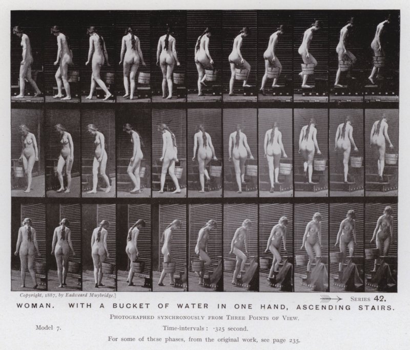 Den menneskelige figur i bevægelse: Kvinde, med en spand vand i den ene hånd, op ad trapper (s/h foto) af Eadweard Muybridge