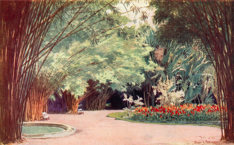 En bambuslund, botanisk have (farve litho) af Edgar L. Pattison