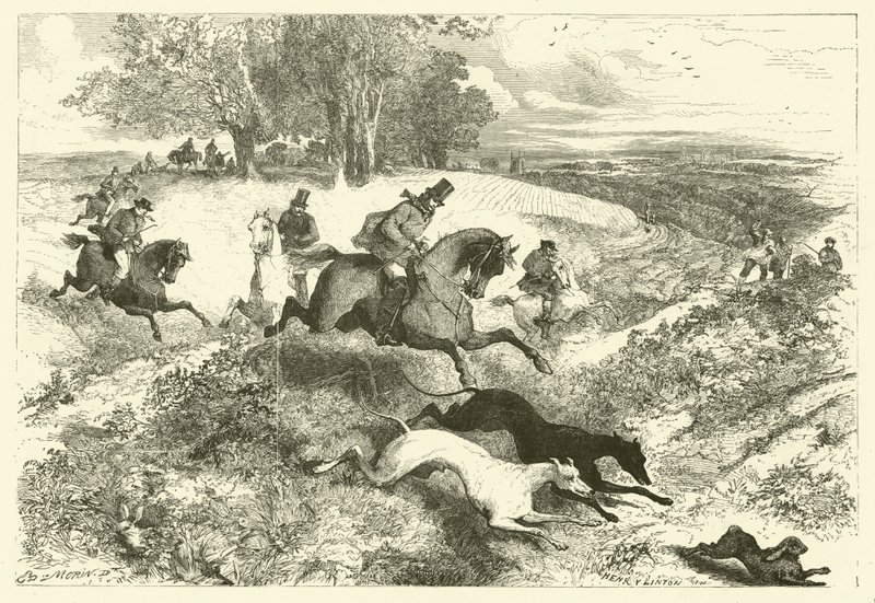 Hare coursing i England (gravering) af Edmond (after) Morin