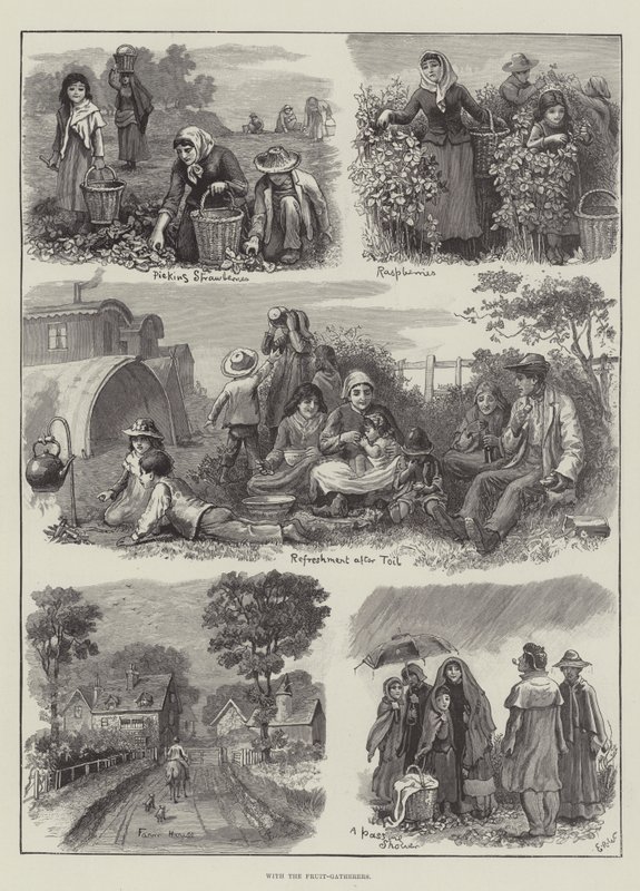 Hos Frugtsamlerne af Edmund Richard White
