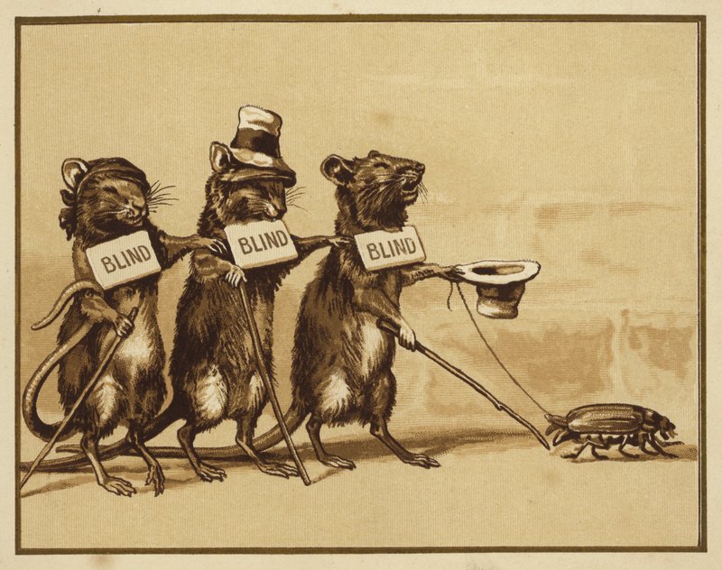 Illustration til tre blinde mus (farve litho) af Edmund G. Caldwell