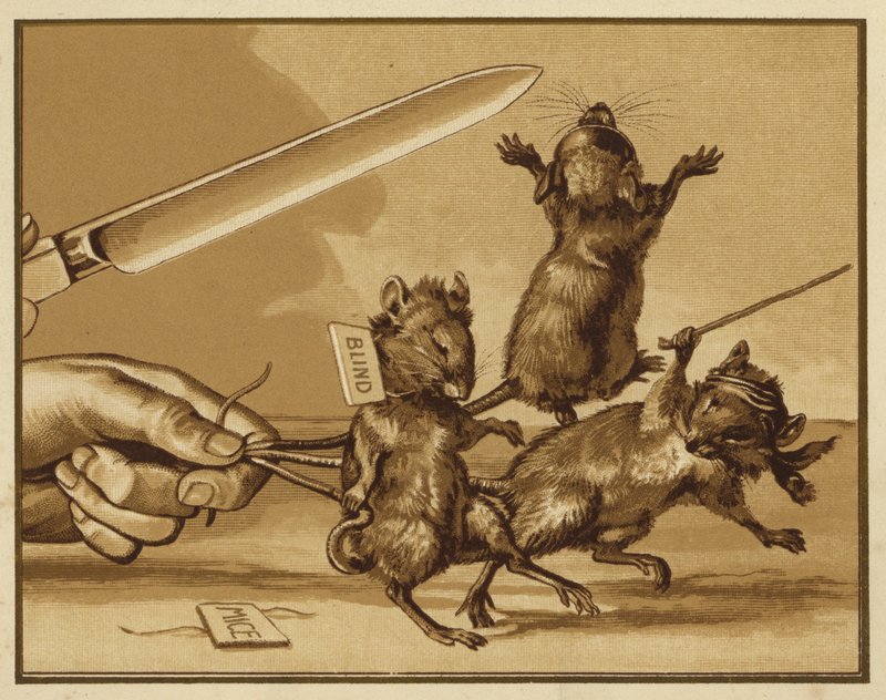 Illustration til tre blinde mus (farve litho) af Edmund G. Caldwell