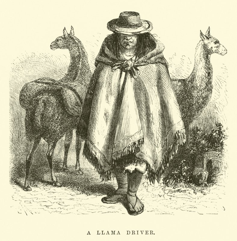 En lama-chauffør af Edouard Riou