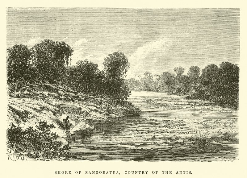 Kysten af Sangobatea, antisernes land af Edouard Riou