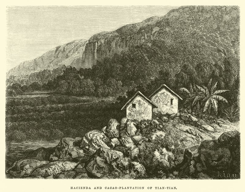 Hacienda og kakao-plantage af Tian-tian af Edouard Riou