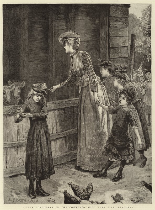 Små londonere på landet, vil de bide, lærer af Edward Frederick Brewtnall
