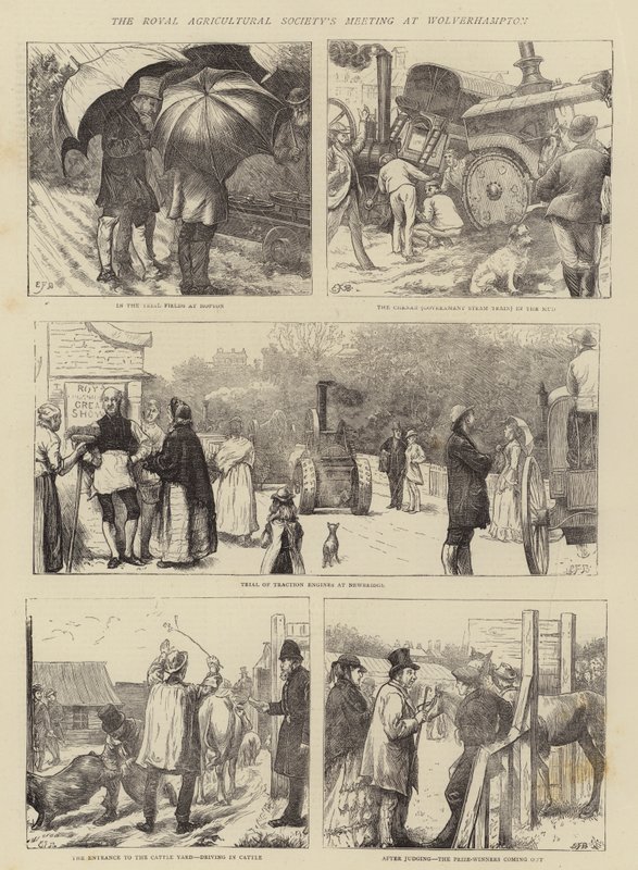 Det Kongelige Landbrugsforenings møde i Wolverhampton af Edward Frederick Brewtnall
