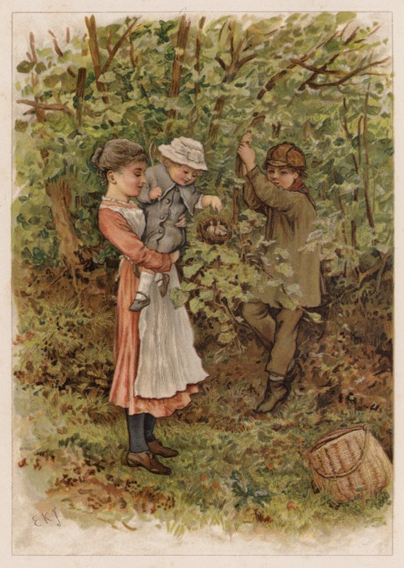 Flapsy og Pecksy af Edward Killingworth Johnson