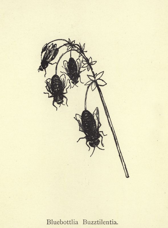 Bluebottlia Buzztilentia af Edward Lear