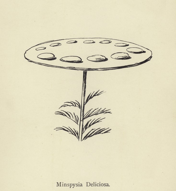 Minspysia Deliciosa af Edward Lear