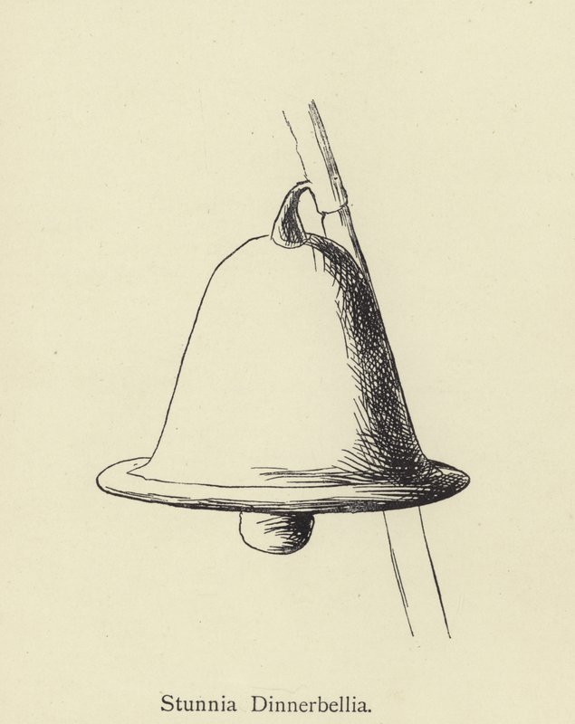 Stunnia Dinnerbellia af Edward Lear