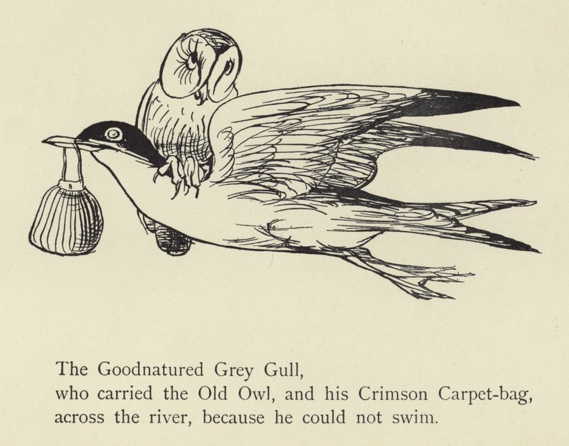 Den godmodige gråmåge af Edward Lear
