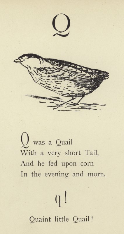 Bogstavet Q af Edward Lear