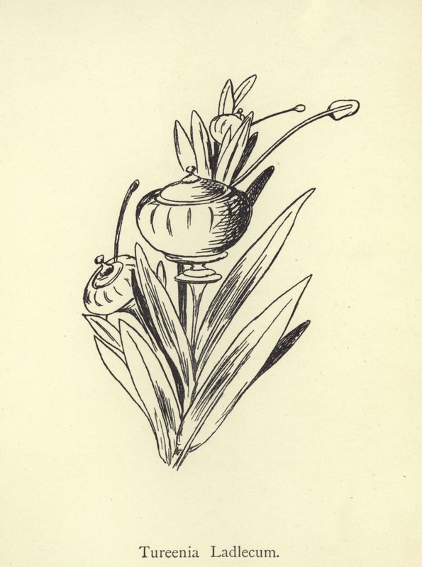 Tureenia Ladlecum af Edward Lear