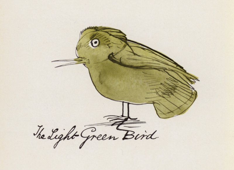 Edward Lear, The Bird Book: The Light Green Bird (farve litho) af Edward (after) Lear