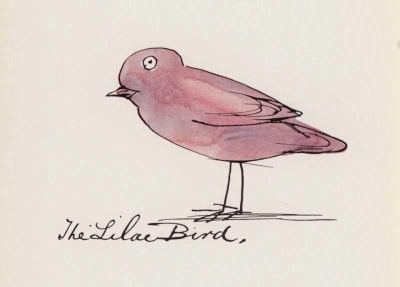 Edward Lear, The Bird Book: The Lilac Bird (farve litho) af Edward (after) Lear