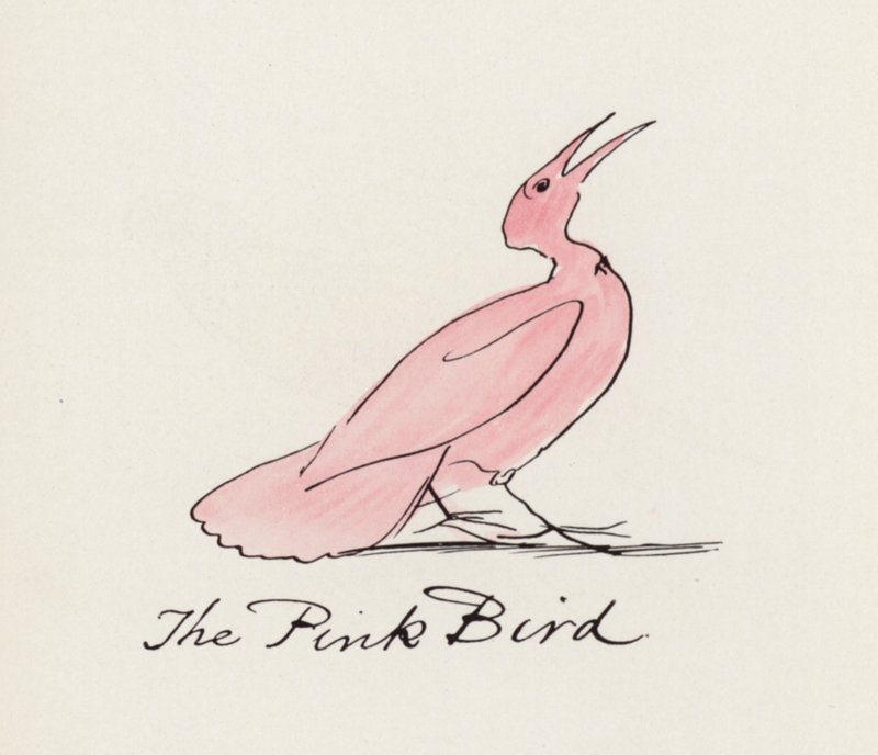 Edward Lear, The Bird Book: The Pink Bird (farve litho) af Edward (after) Lear