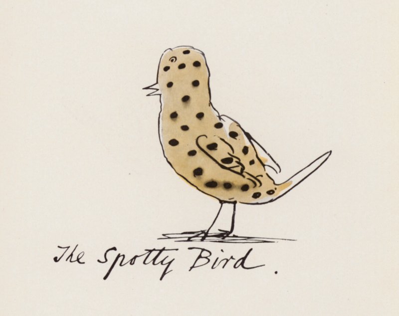 Edward Lear, The Bird Book: The Spotty Bird (farve litho) af Edward (after) Lear