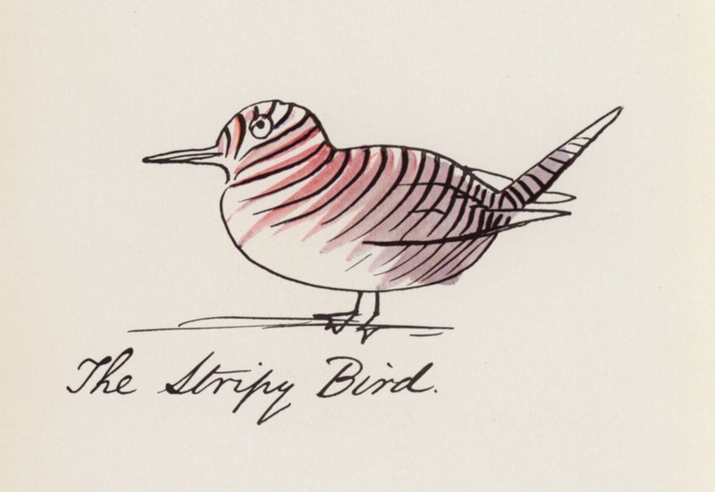 Edward Lear, The Bird Book: The Stripy Bird (farve litho) af Edward (after) Lear