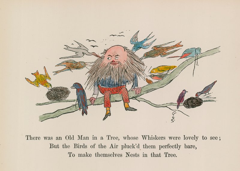 Der var en gammel mand i et træ, hvis knurhår var dejlige at se (farvelagt gravering) af Edward (after) Lear