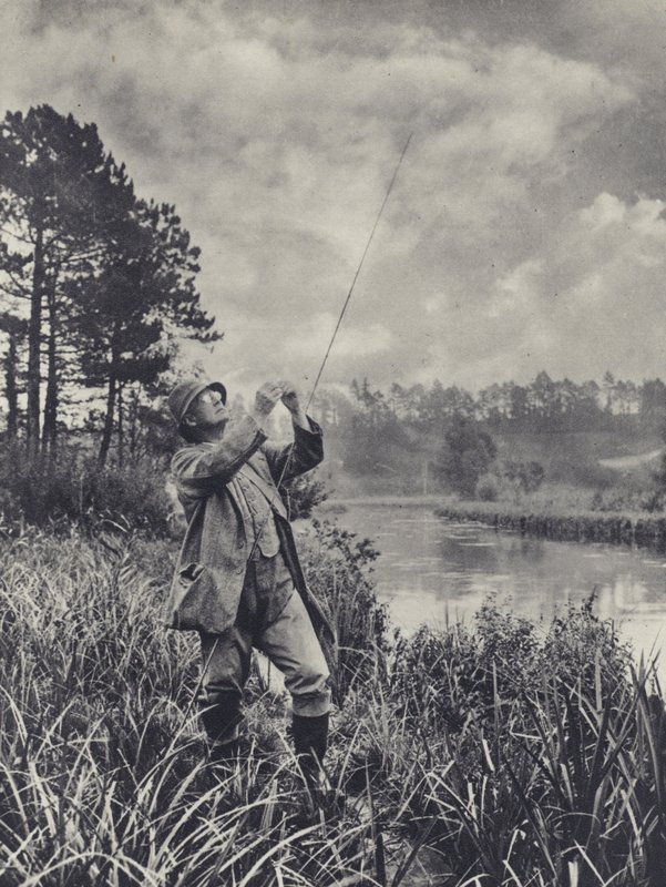 Et knudret punkt (s/h-foto) af Edward Alfred Barton