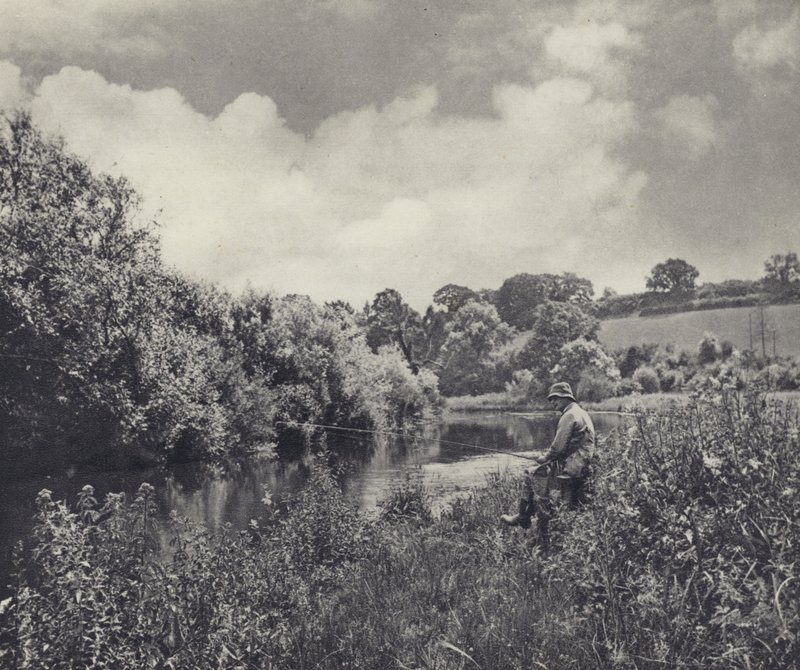 I hedebølgen (s/h-foto) af Edward Alfred Barton