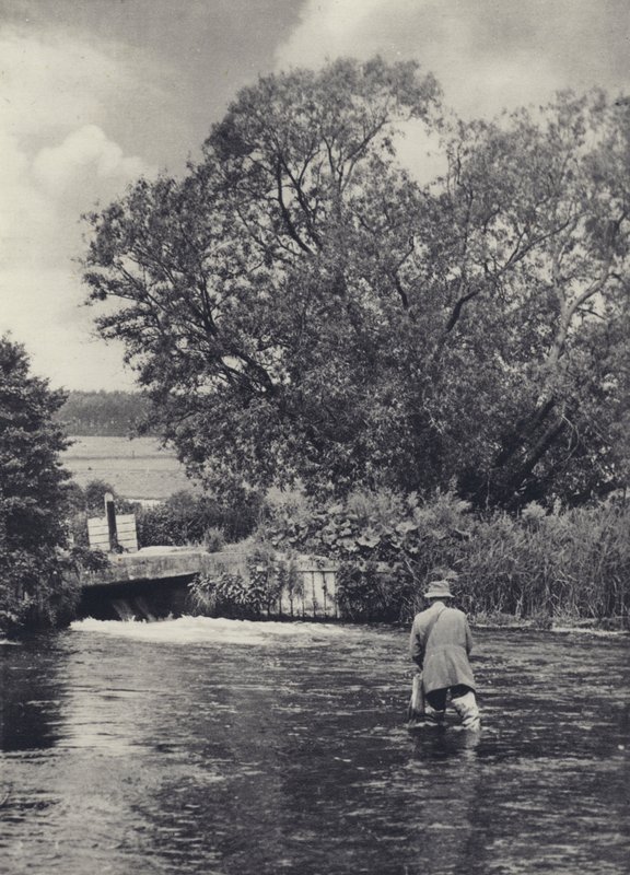 På Itchen nedenfor Winchester (s/h-foto) af Edward Alfred Barton